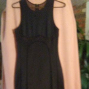 Unknown Brand Sleeveless Black Mesh Mini Dress with 20" Gold Back Zipper